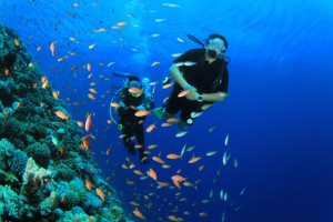 Female Scuba Divers swim through tropical fish on ocean reef