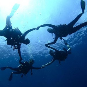 cropped-divers-from-down500.jpg