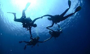 divers-from-down500