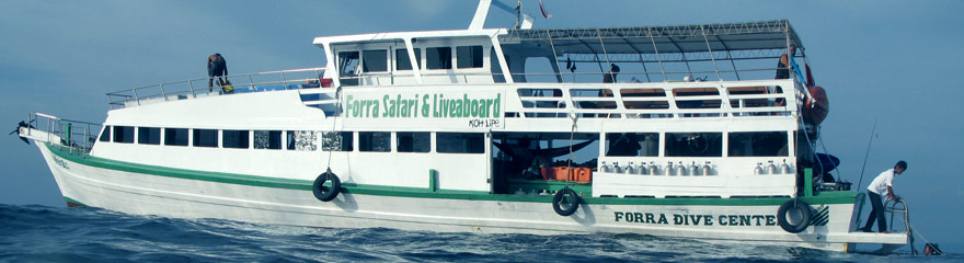 liveaboard